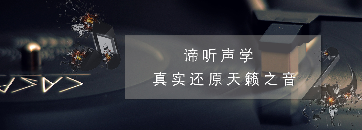 廈門諦聽聲學(xué)技術(shù)有限公司